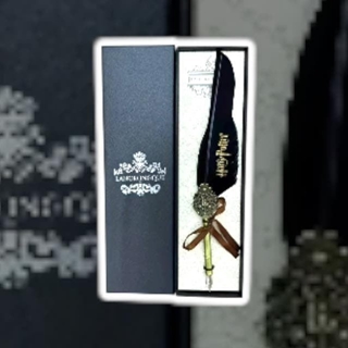 Pluma estilográfica Harry Potter - Imagen 1